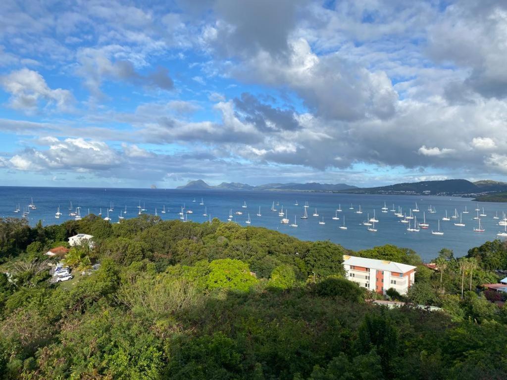 Superbe Appartement Vue Sur Mer Sainte-Anne Dış mekan fotoğraf