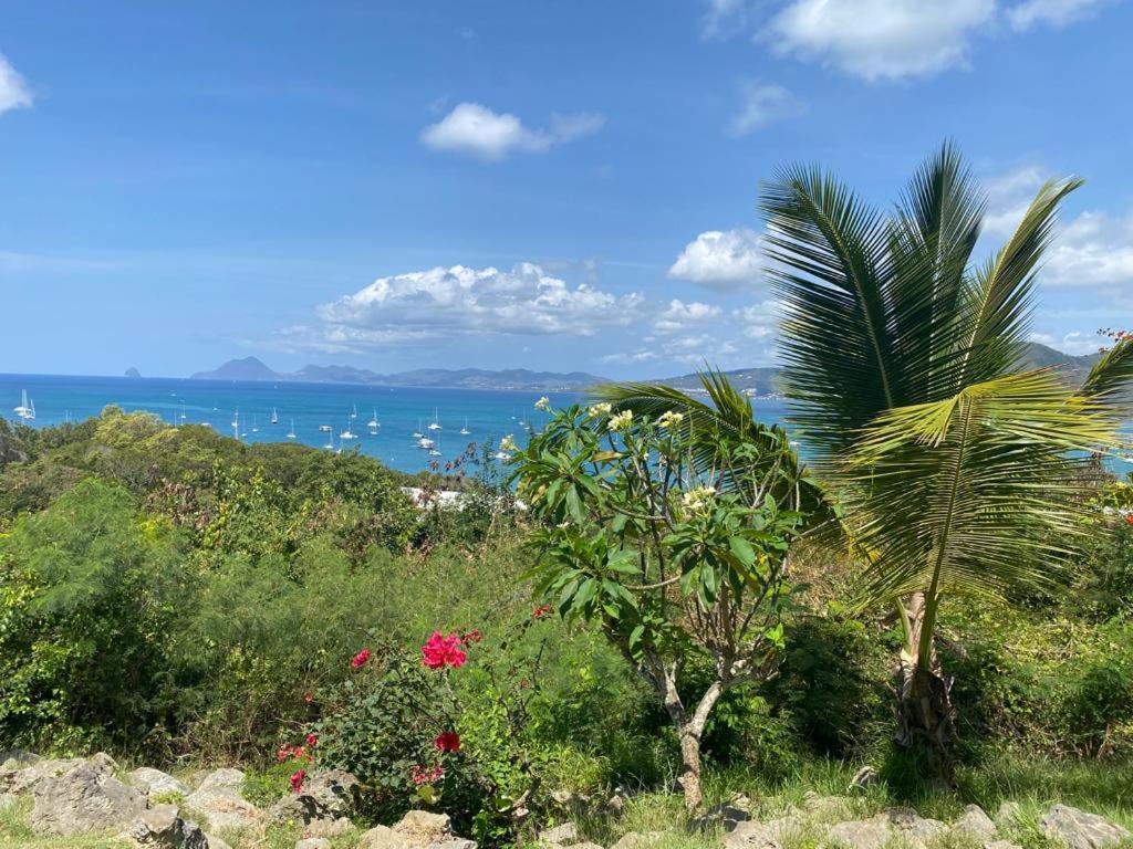 Superbe Appartement Vue Sur Mer Sainte-Anne Dış mekan fotoğraf